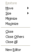 Editor's context menu