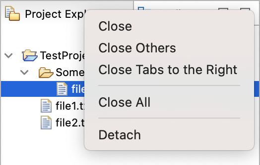 Project Explorer view menu, top left