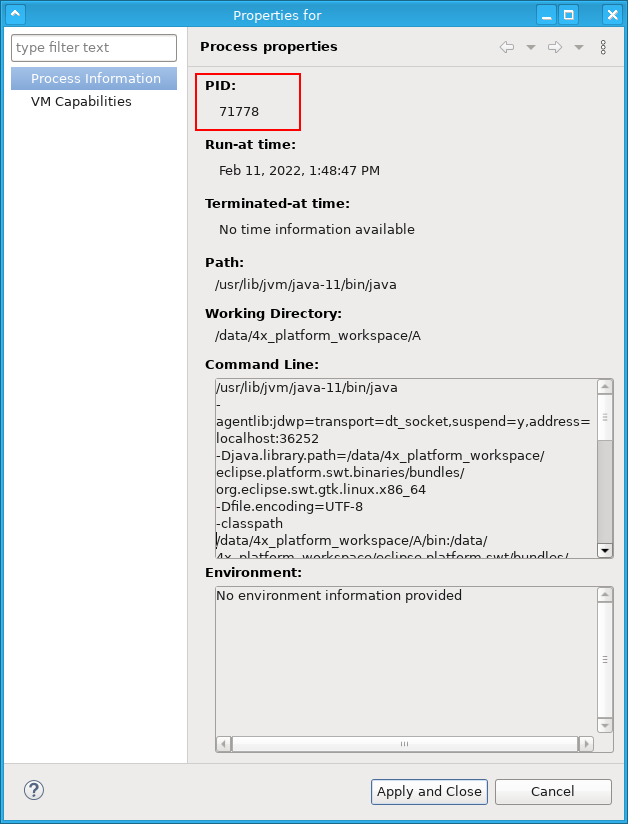 Process properties page shows process ID